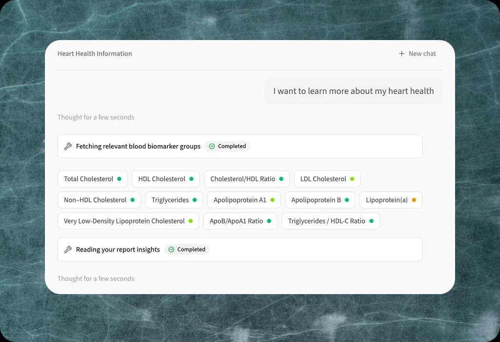 Noyu AI conversation about cholesterol results